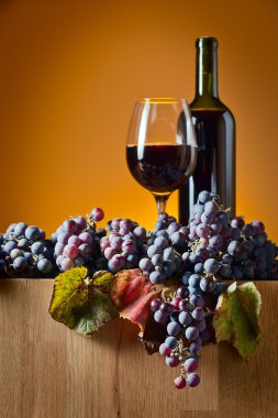 Ürün üzüm şarap üretimi için