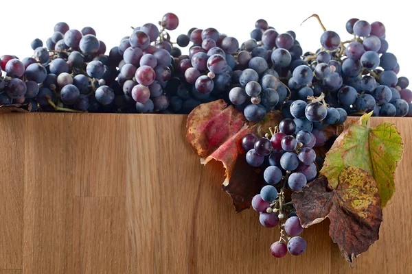 Crop of grapes for wine manufacture — Stock Photo, Image