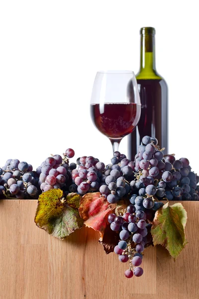 ワイン製造用ぶどうの収穫 — ストック写真