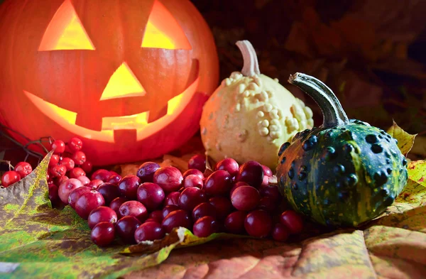 Pumpkins and cranberry — Stock Photo, Image