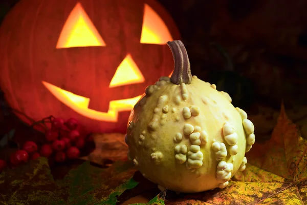 Stilleven met pompoenen — Stockfoto