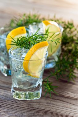 buz ve limon ile cin 