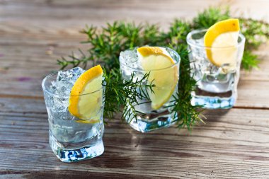 buz ve limon ile cin 