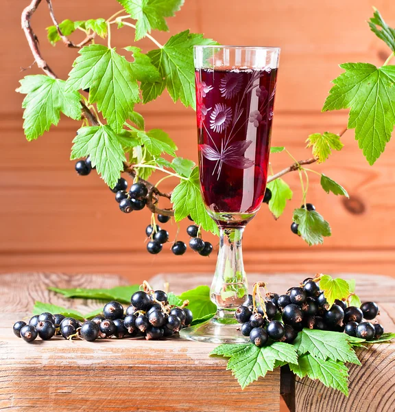 Black currant liquor and ripe berries — Stock Photo, Image