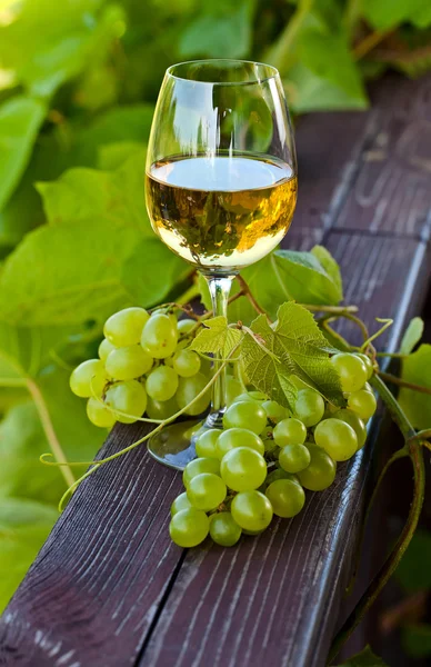 Green grape and white wine in vineyard — Stock Photo, Image