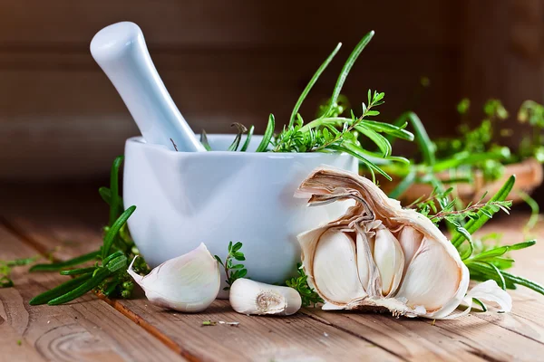 Garlic and  green spices — Stock Photo, Image