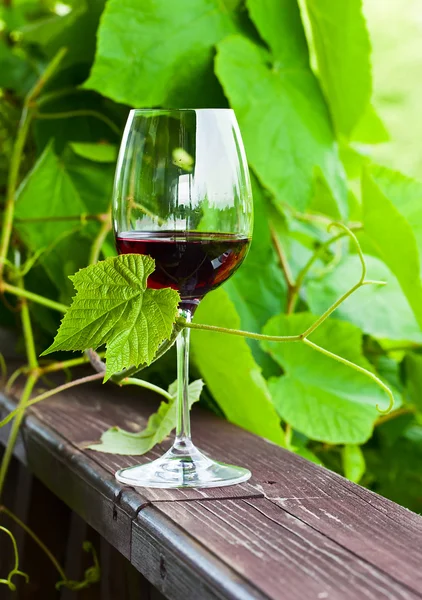 Red wine — Stock Photo, Image