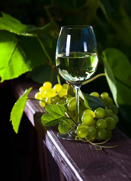 Grape and white wine — Stock Photo, Image