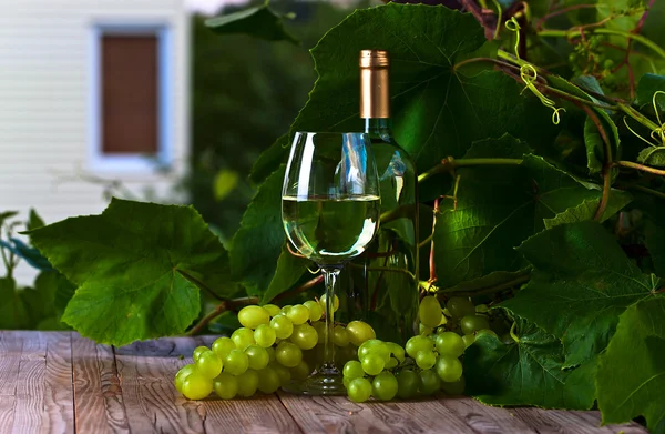 绿葡萄和白葡萄 — 图库照片