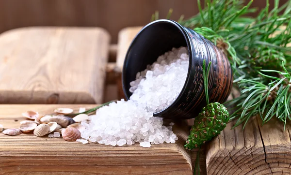Sea salt with coniferous aroma — Stock Photo, Image