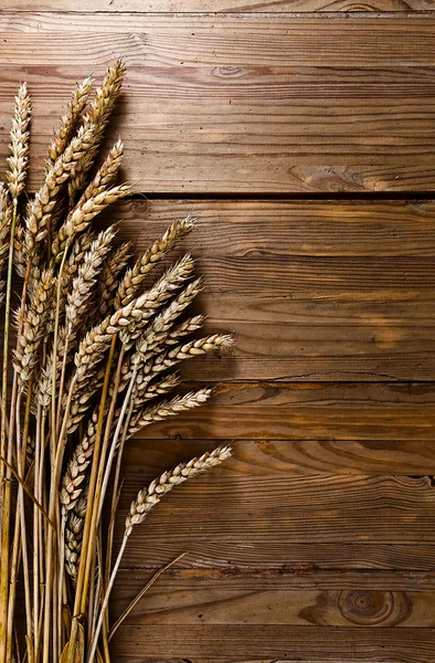 Harvest on old wooden table — Stock Photo, Image