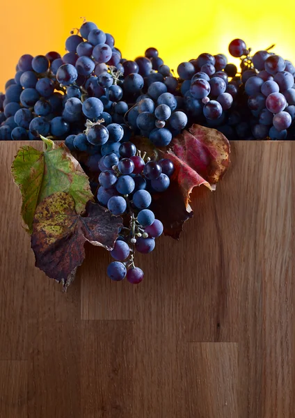 Crop of grapes — Stock Photo, Image