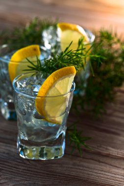 buz ve limon ile cin 