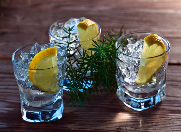 Ginebra con limón y hielo —  Fotos de Stock