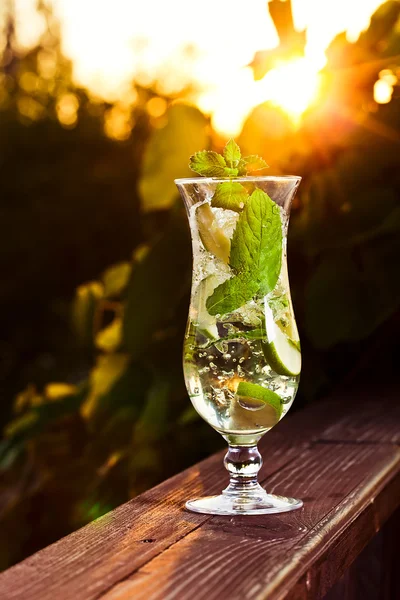 Mojito — Stock Photo, Image