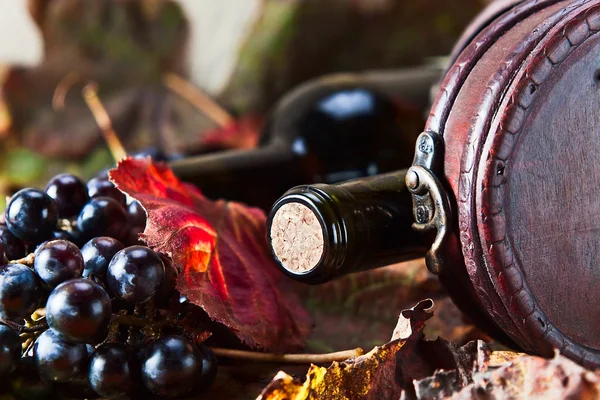 Flasche mit Wein — Stockfoto