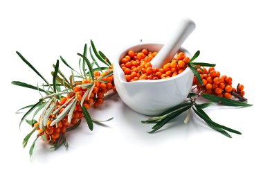 Deniz cehri çilek beyaz izole 