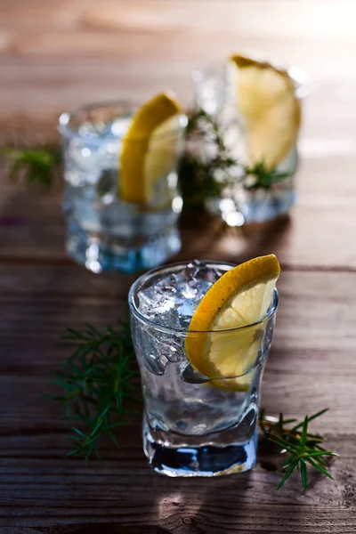 Gin mit Zitronen- und Wacholderzweig — Stockfoto