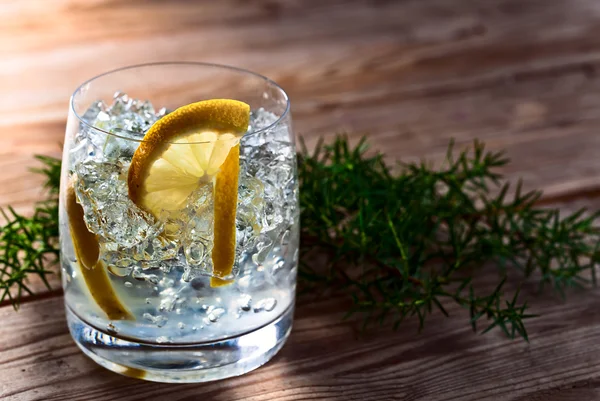 Gin med citron och juniper gren — Stockfoto