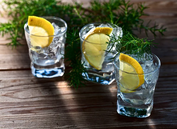 Gin con limone e ghiaccio — Foto Stock