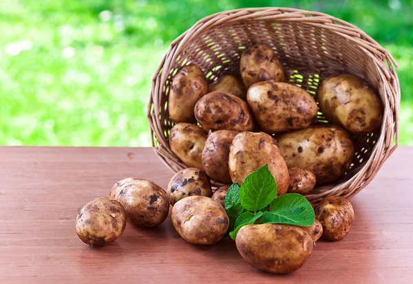 Patates. — Stok fotoğraf