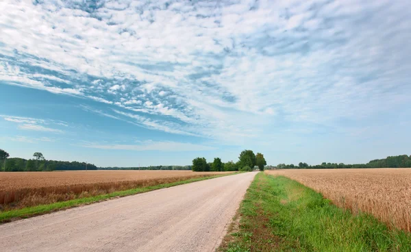 Country road — Stock Photo, Image