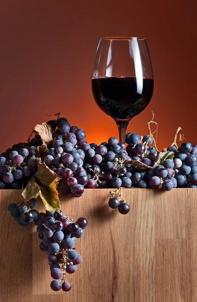 Red wine — Stock Photo, Image