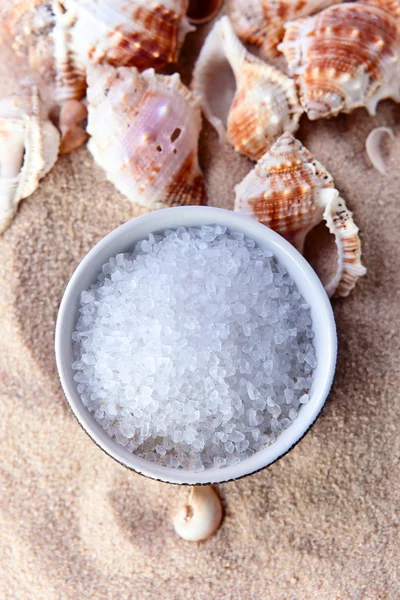 海盐 — 图库照片