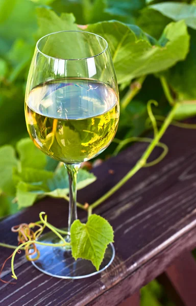 Tatlı şarap — Stok fotoğraf