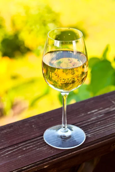 White wine in vineyard — Stock Photo, Image