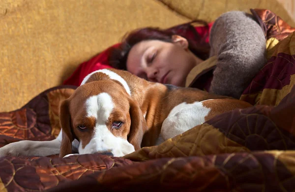 Femme endormie et son chien — Photo