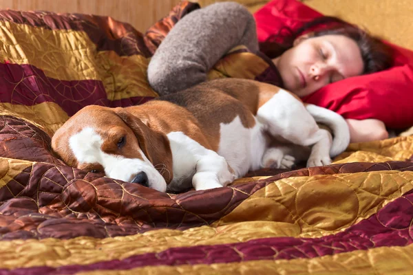 Sleeping woman and its dog — Stock Photo, Image