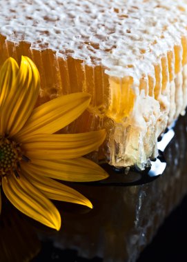  siyah yansıma arka planda petek