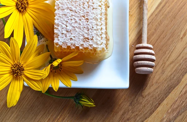 Honeycomb och gula blommor — Stockfoto