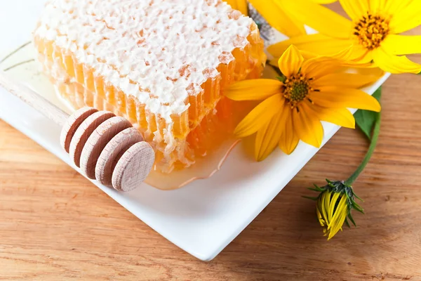 Favo e fiori gialli — Foto Stock