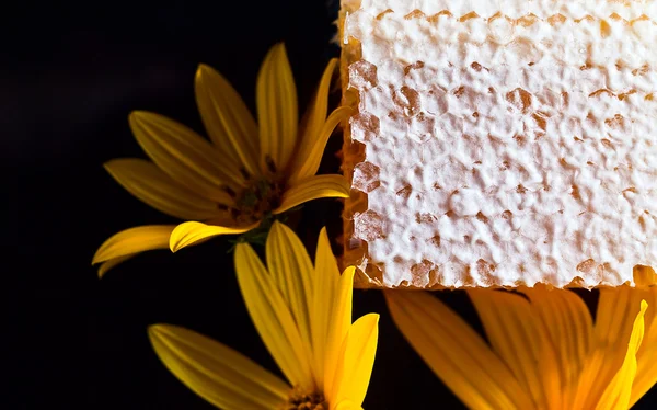 Honeycomb  on black reflexive background — Stock Photo, Image