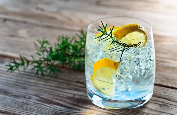 Gin mit Zitronen- und Wacholderzweig — Stockfoto