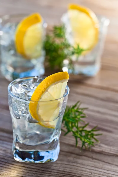 Gin mit Zitrone und Eis — Stockfoto