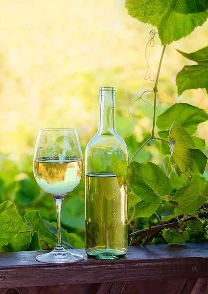 Tatlı şarap — Stok fotoğraf