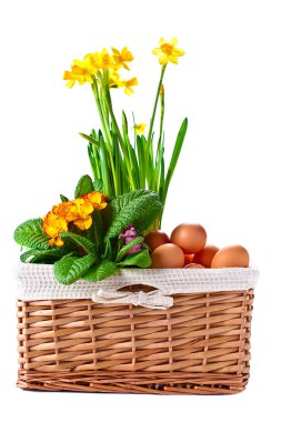 bahar çiçekleri ve yumurta ile sepeti 