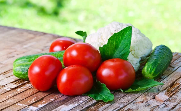 Gemüse im Garten — Stockfoto