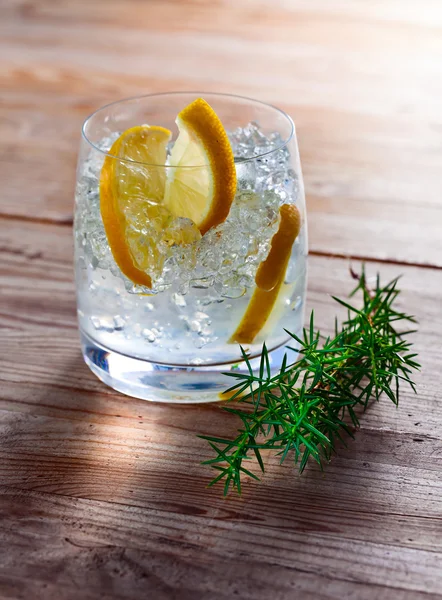 Gin mit Zitronen- und Wacholderzweig — Stockfoto