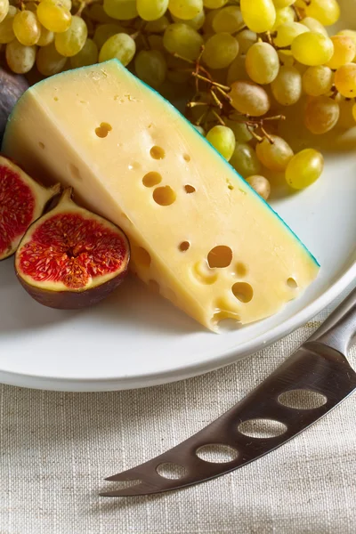 Cheese with fruits — Stock Photo, Image