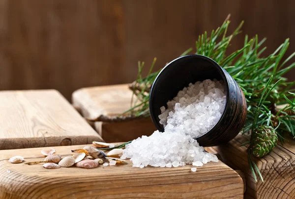 Sea salt with coniferous aroma — Stock Photo, Image