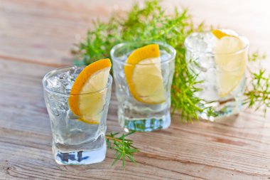 buz ve limon ile cin 