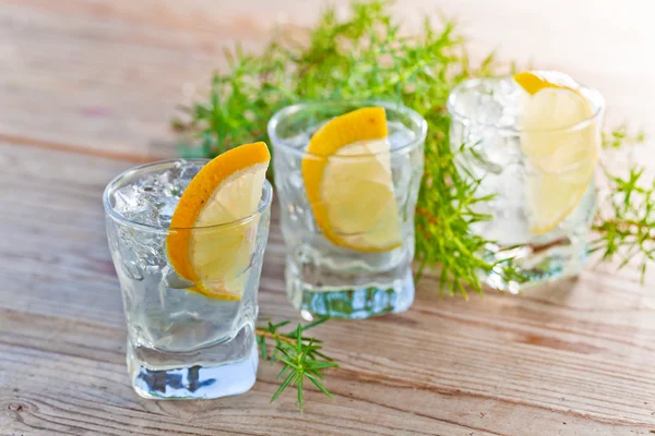 Gin mit Zitrone und Eis — Stockfoto