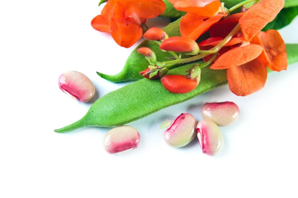 String beans on white — Stock Photo, Image