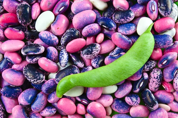 String bean — Stock Photo, Image