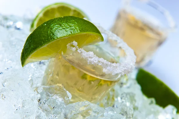 Tequila con sale e lime — Foto Stock