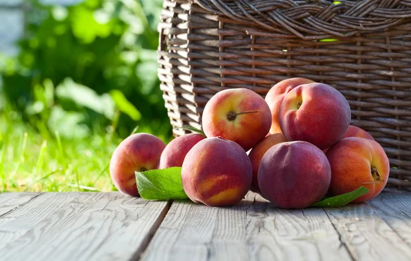Saftiga persikor — Stockfoto